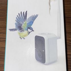 🐦 Birdfy AI Camera for Birdwatching – Smart Motion Detect – Deal!