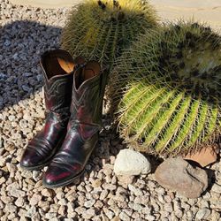 Vintage Men's Black Cherry Lucchese Cowboy Boots