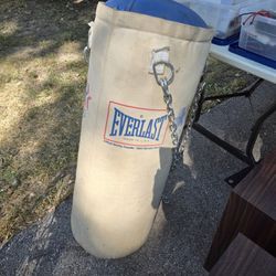 Everlast Canvas Punching Bag