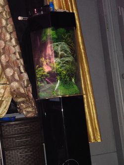 octagon fish tank