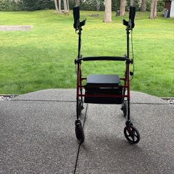 Tall, Standup Straight Walker, Medical Adult