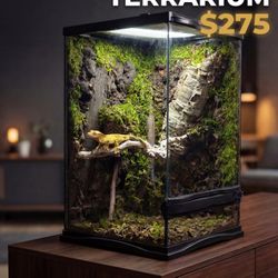 Custom Bioactive Reptile Terrarium