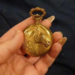 Arnex 17 Jewel Incabloc Swiss Pocket Watch 