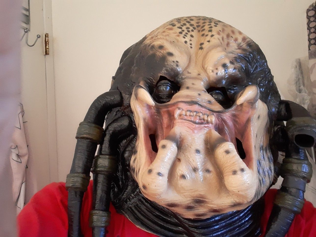 I'm Selling My Mask Predator for 30$ Or Best Offer