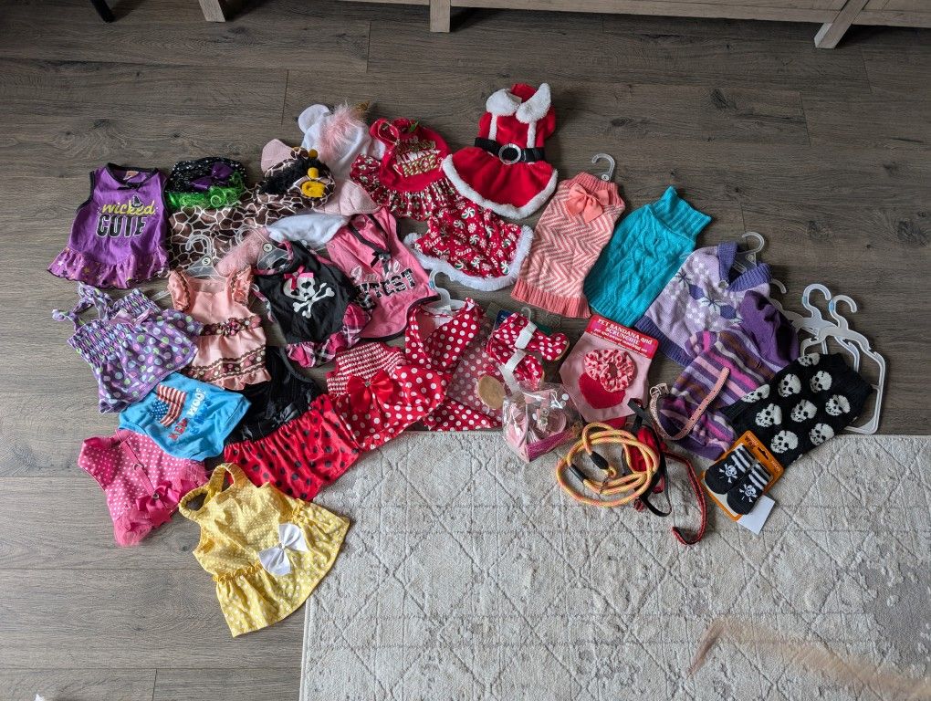 Doggy Clothes