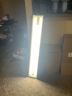 Shop/garage light with 2 lamps