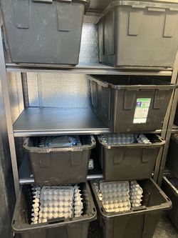 Dubia feeders for reptiles