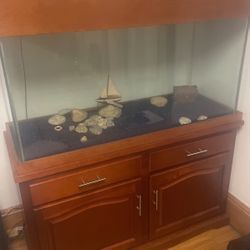 Fish Tank
