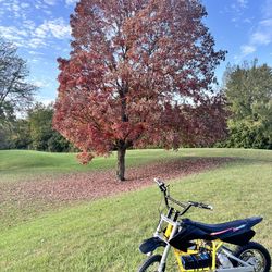 UPGRADED MX 650 48v 31MPH (depending On Weight) ALOT OF TORQUE - E-bike- E Moto - Dirtbike- Electric Dirtbike