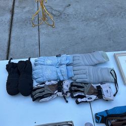 Snow Gloves