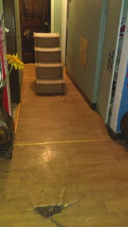 Pet stairs