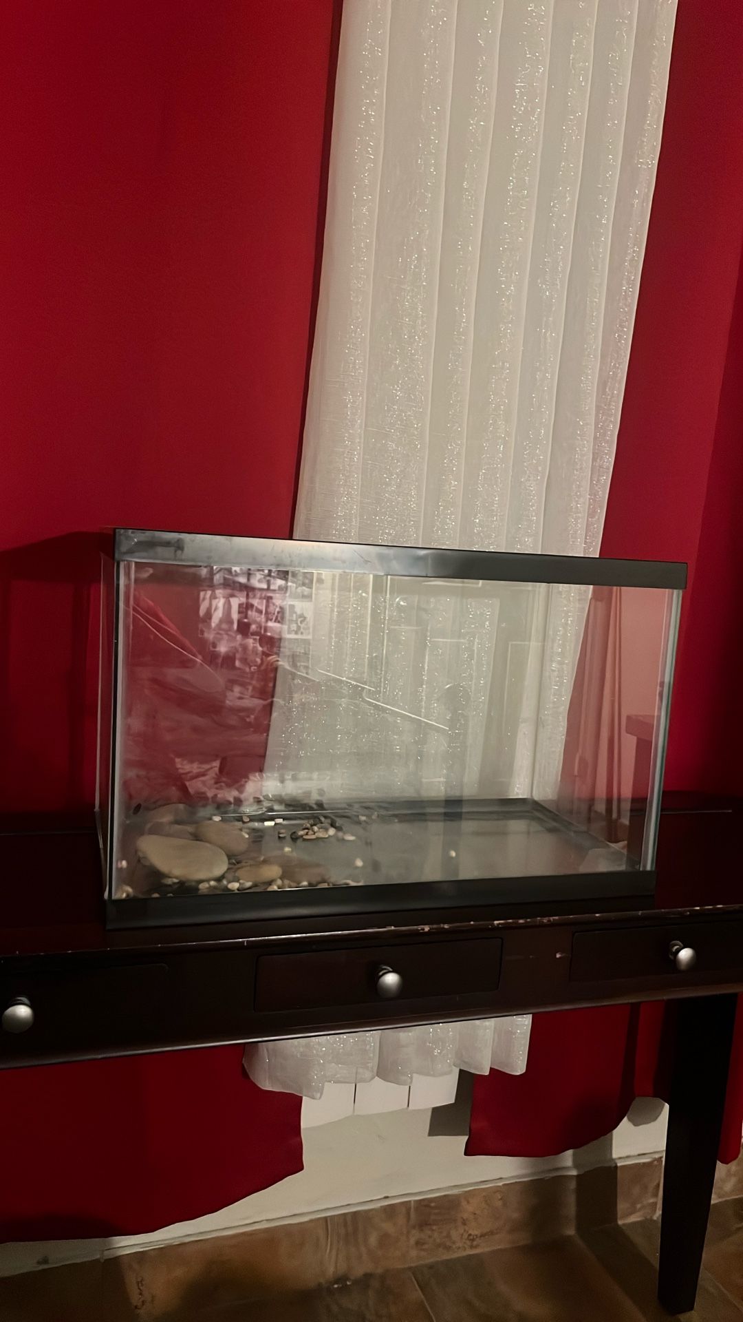 Fish Tank