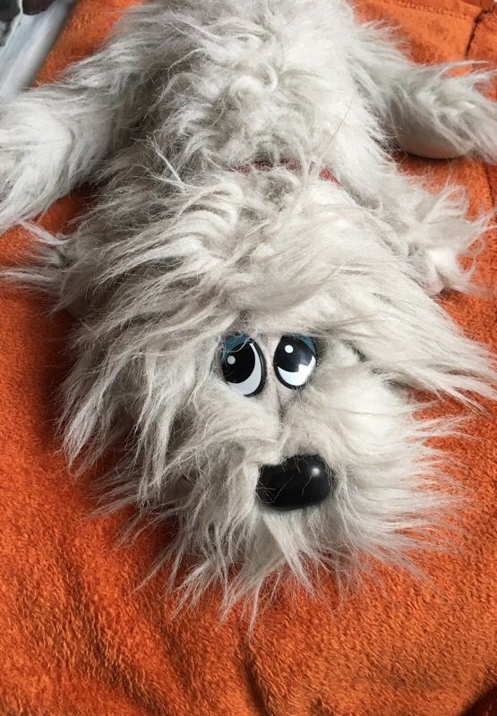 Shaggy Dog, vintage Pound puppy 🐶