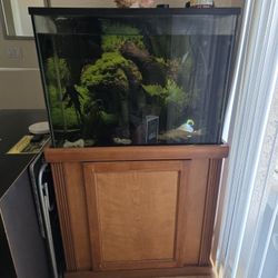 40 Gal Fish Tank With Stand