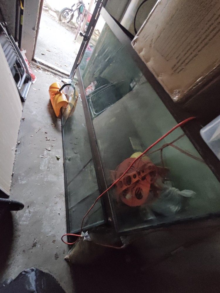AQUARIUM FISH TANK LOT