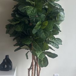 Indoor / Outdoor Fake Fig Tree - Very Life Life  Planter Included