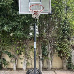 Lifetime Basketball Hoop