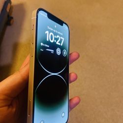 iPhone 12 Unlocked With Apple Phone Case. 