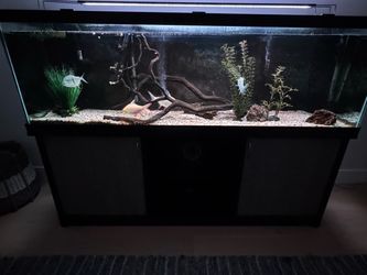 125 Gallon Fish Tank & Stand