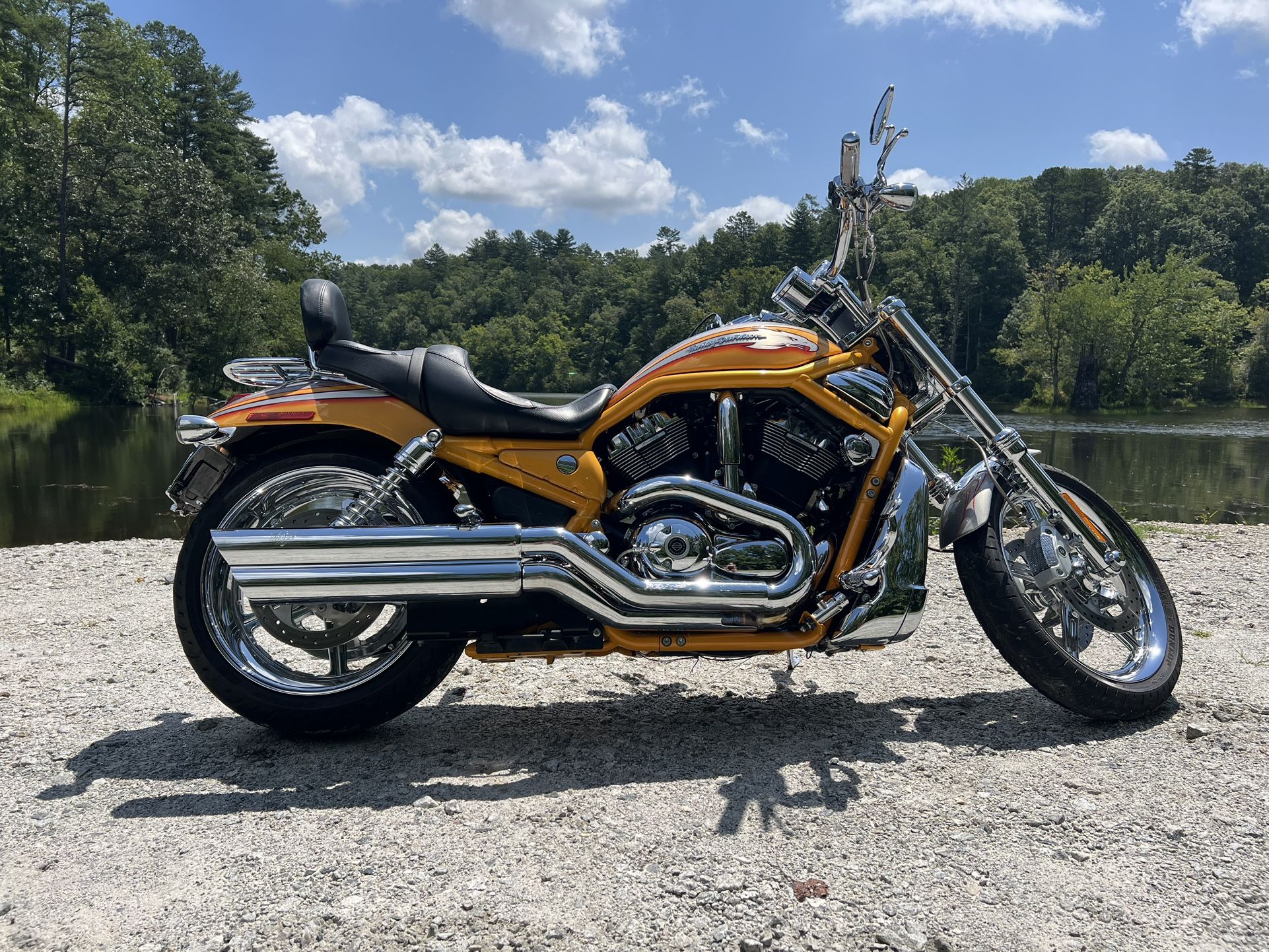Screaming Eagle V Rod