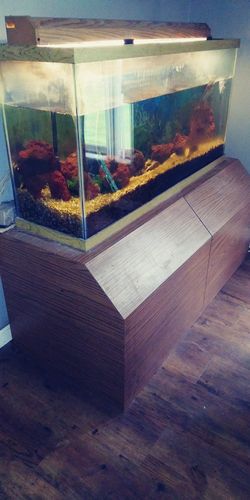 75 gal beautiful fish tank 1 fish