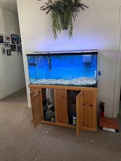 Large Aquarium Fish Tank with Wood Stand