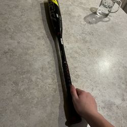 Easton Baseball Bat