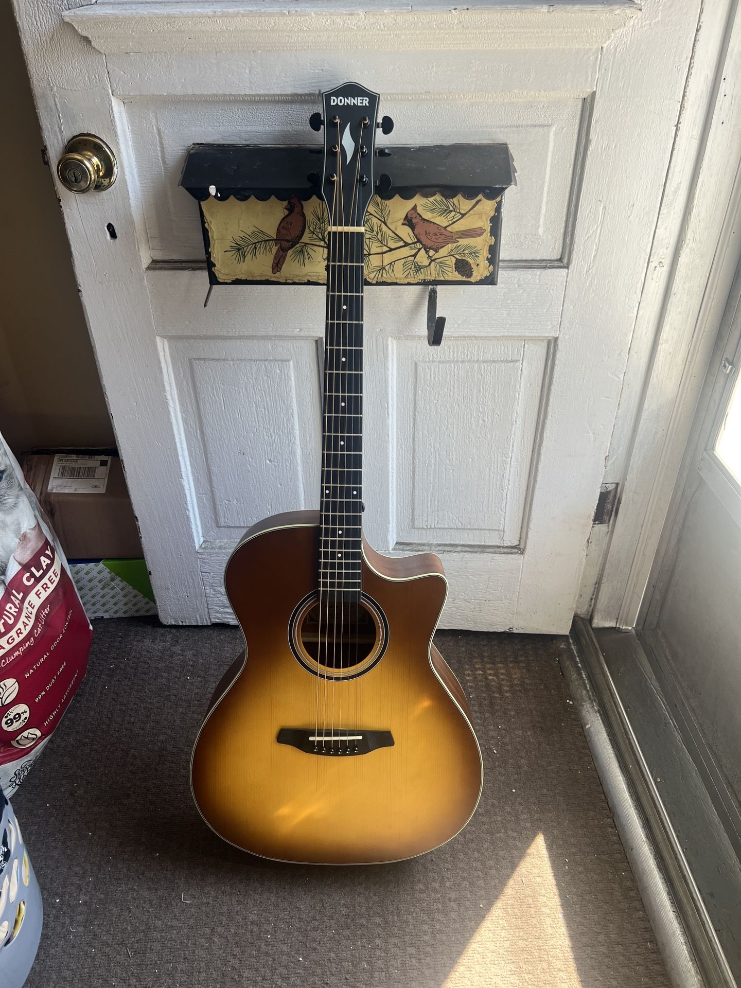 Donner Guitar