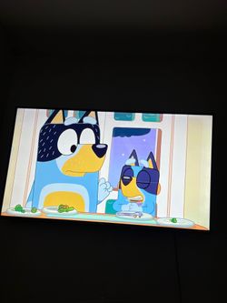 Roku tv 55inch