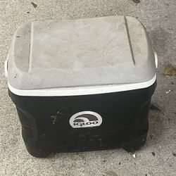 Igloo Cooler