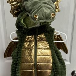 Baby Dragon Costume Size 6-9 Months just $5