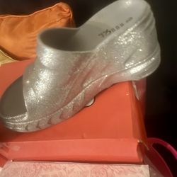Silver Heel Croc Like Shoe