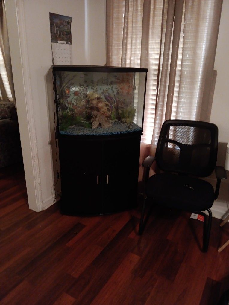 Fish Tank ,Stand, Extra