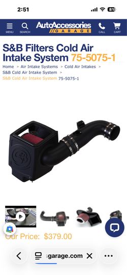Air intake system