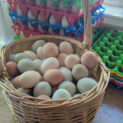 Fresh Organic Eggs