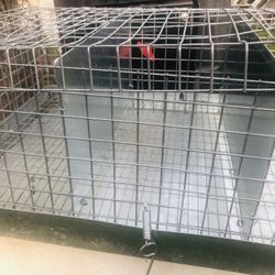 Pet Cage 24 inch  Three  8 inch  Compartments  