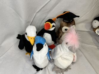Beanie Baby Bird Set Of 5   #1