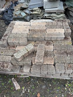 Lawn edging pavers