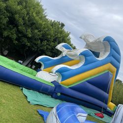 Waterslide For Sale 