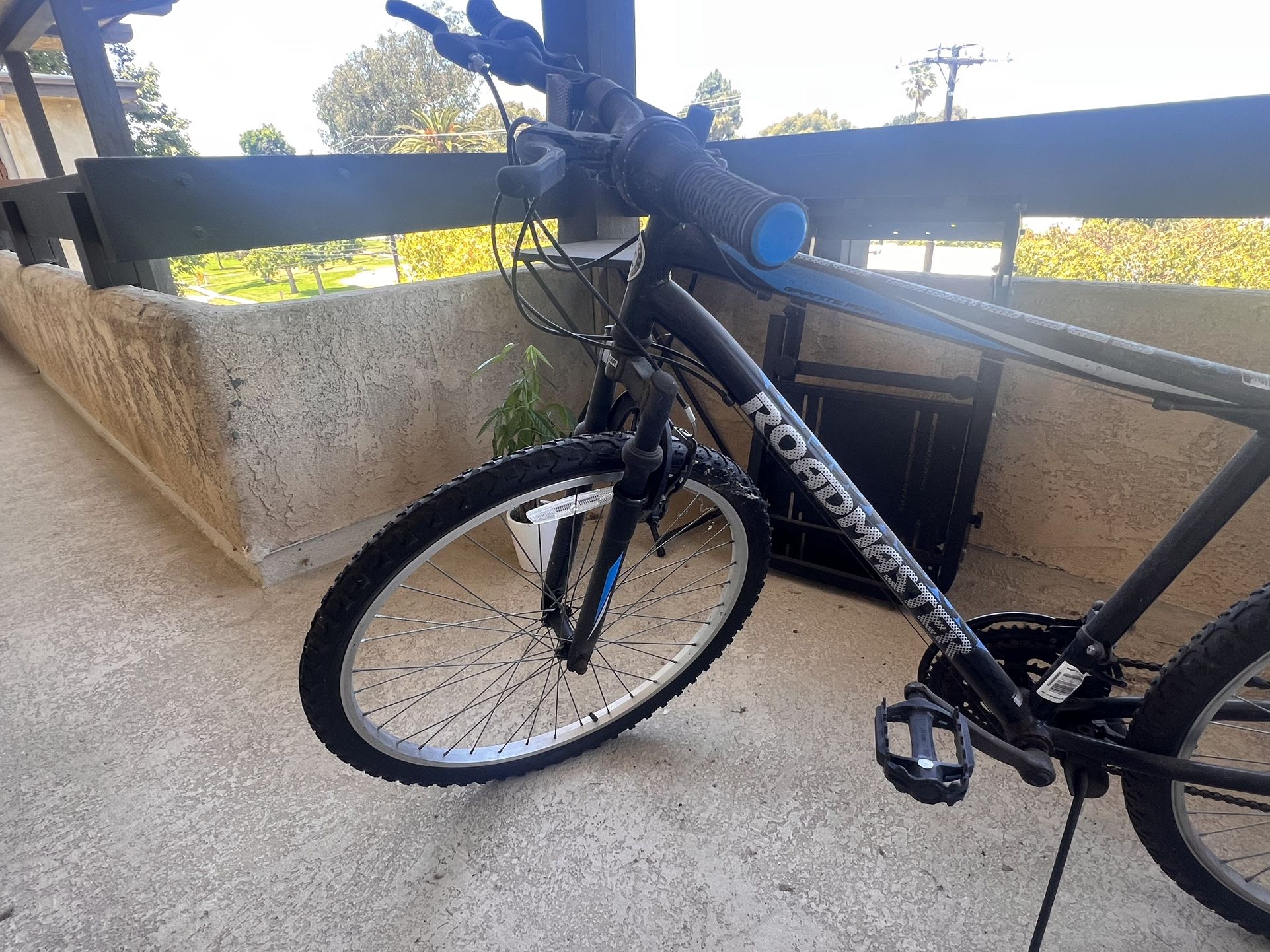 Road master Bike