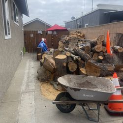 Firewood 