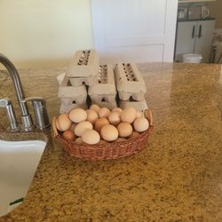 Fresh Free Range farm Eggs. 
