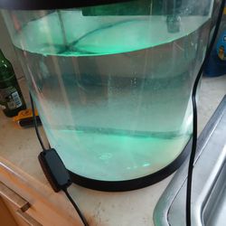2 In A Half Gallon Fish Tank Color I Lights
