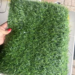 Turf Grass Squares 