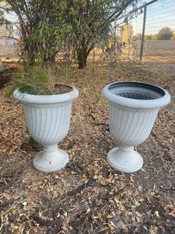 Pair of White Urn Planters