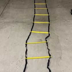 Exercise Ladder