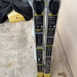 10 Ft Gorilla Ladder