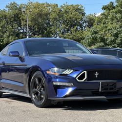 2019 Ford Mustang 