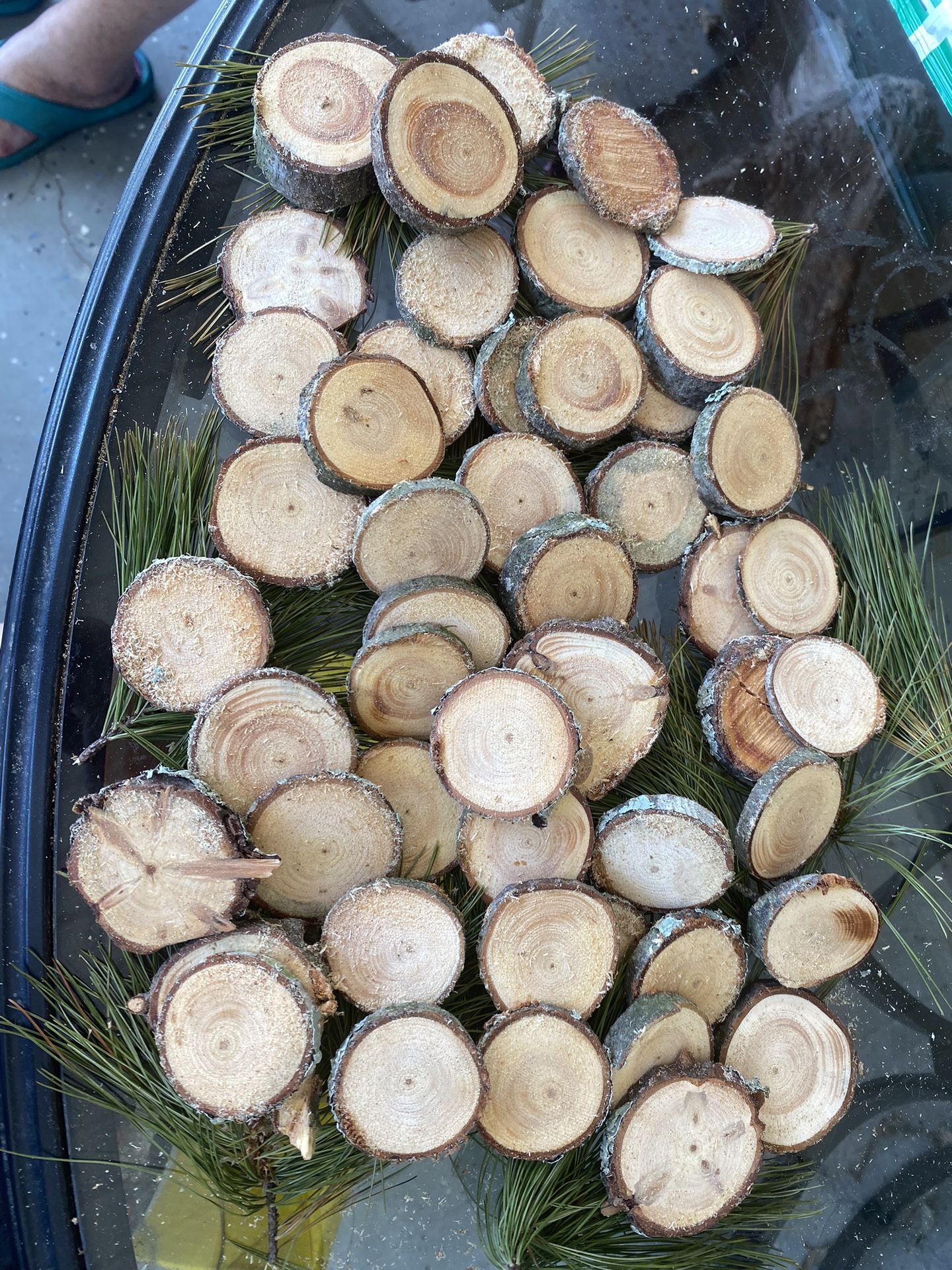 Balsam Fir pine Wood Log Slices 50 Ct 2-3”