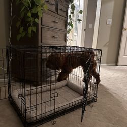 Dog Crate With Mat - Frisco